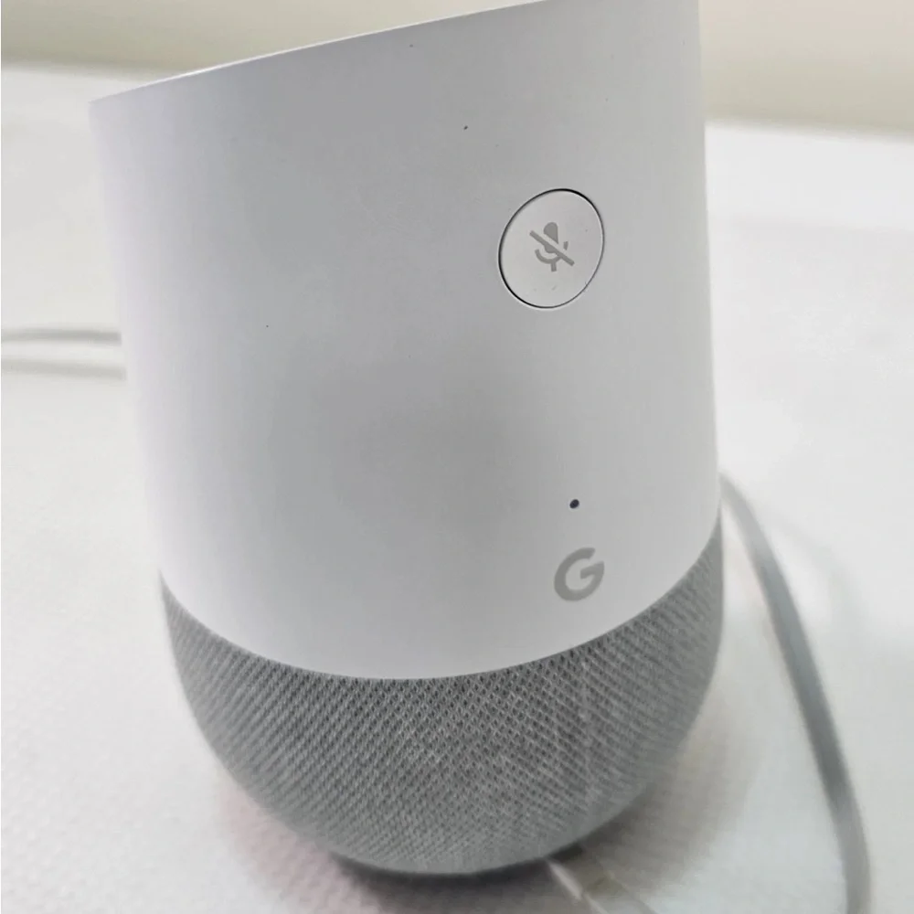 Google Smart Speaker in White and Gray